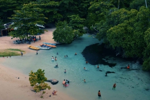 Samana Rincon Beach og Cayo Levantado fra Punta Cana