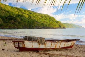 Samana Day Tour: Cayo Levantado & Rincon Bay Paradise