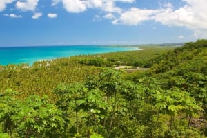 Samana Day Tour: Cayo Levantado & Rincon Bay Paradise