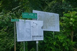 Samaná: El Limón Wasserfall Reittour