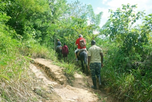 Samaná: El Limón Wasserfall Reittour