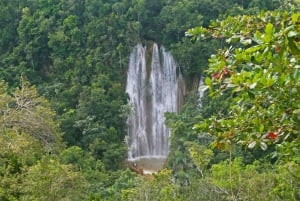 Samaná: El Limón Waterfall Horseback Riding Tour