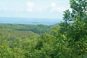 Samaná: El Limón Waterfall Horseback Riding Tour