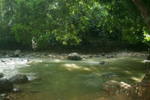 Samaná: El Limón Waterfall Horseback Riding Tour