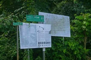 Samaná: El Limón Waterfall Horseback Riding Tour