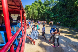 Samana von Punta Cana aus: Cayo Levantado & El Limon Wasserfall