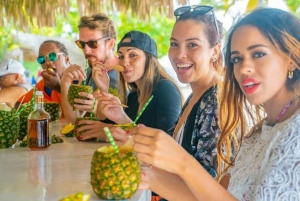 Samaná: Full-Day Adventure El Limón Waterfall Bacardi Island