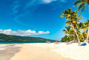 Samaná: Full-Day Adventure El Limón Waterfall Bacardi Island