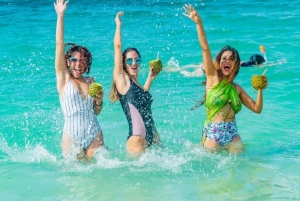 Samaná: Full-Day Adventure El Limón Waterfall Bacardi Island