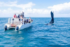 From Punta Cana: Samana & Miches Guided Day Tour with Lunch
