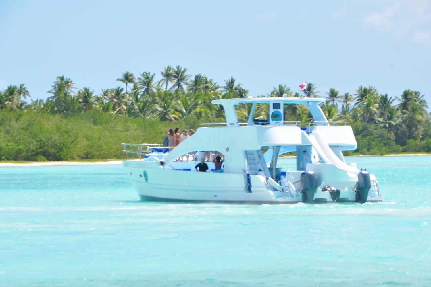 Samana: Half Day Whale Watching Humpback Whale Watching