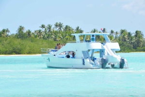 Samana: Half Day Whale Watching Humpback Whale Watching