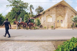 Samaná: Cabalgata a la Cascada El Limón con Almuerzo