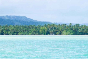 Samaná: Cabalgata a la Cascada El Limón con Almuerzo