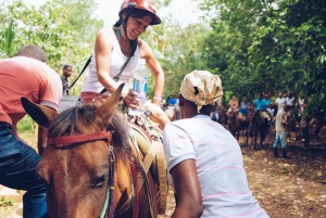 Samaná: Passeggiata a cavallo alla cascata El Limón con pranzo