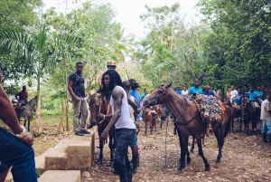 Samaná : Randonnée à cheval jusqu'à la cascade d'El Limón avec déjeuner