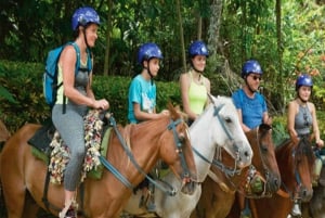 Punta Cana: Samana-safari mellan vattenfall och stränder