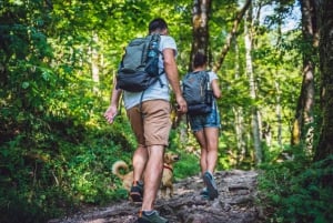 Samaná: caminhada na praia de Las Galeras com almoço e refrigerantes