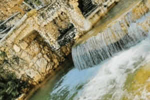 Samana: Los Haitises, Caño Hondo, wycieczka kajakiem z lunchem