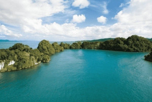 Samana: Los Haitises, Caño Hondo, wycieczka kajakiem z lunchem