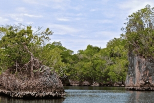 Samana: Los Haitises, Caño Hondo, Kayak Tour with Lunch