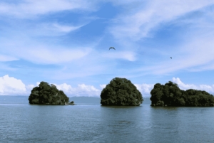 Samana: Los Haitises, Caño Hondo, Kayak Tour with Lunch