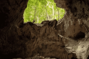 Samana: Los Haitises, Caño Hondo, Kayak Tour with Lunch