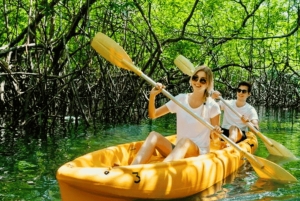 Samana: Los Haitises, Caño Hondo, Kayak Tour with Lunch