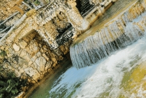 Samana: Los Haitises, Caño Hondo, Kayak Tour with Lunch