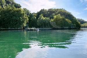 Samana: Los Haitises & Cano Hondo Overnight Tour