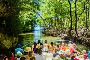 Samaná: Excursión al Parque Nacional de Los Haitises y Cayo Levantado