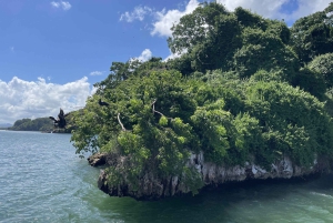 Samana: Los Haitises National Park & Cayo Levantado Tour