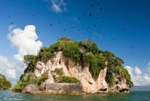 Samaná: Los Haitises National Park Guided Boat Tour & Lunch