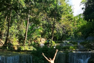 Samaná: Los Haitises Park & Yanigua Waterfall Private Tour