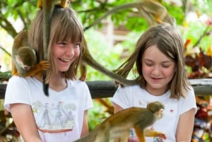 Samaná : Monkeyland et visite en camion du Safari en plein air