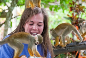 Samaná: Monkeyland y Safari al Aire Libre en Camión
