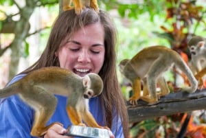 Samaná: Monkeyland and Open-Air Safari Truck Tour