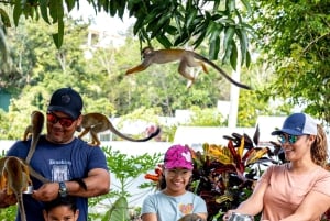 Samaná: Monkeyland and Open-Air Safari Truck Tour