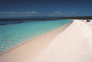 Samana: Montaña Redonda, Lunch, and Esmeralda Beach Tour