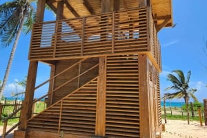 Samana: Montaña Redonda, Lunch, and Esmeralda Beach Tour