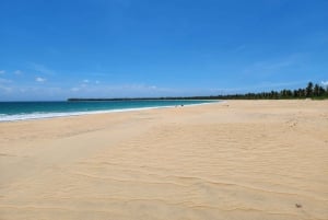 Samana: Montaña Redonda, Lunch, and Esmeralda Beach Tour