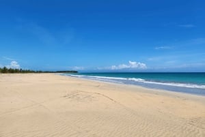 Samana: Montaña Redonda, Lunch, and Esmeralda Beach Tour