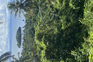 Samana: Caminhada no Monte Rojo e caiaque na baía de Carenero
