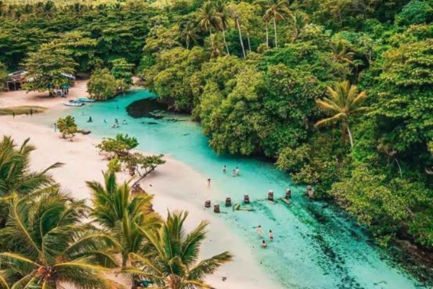 Samaná: Playa Rincón safaritur med frokost og drikkevarer