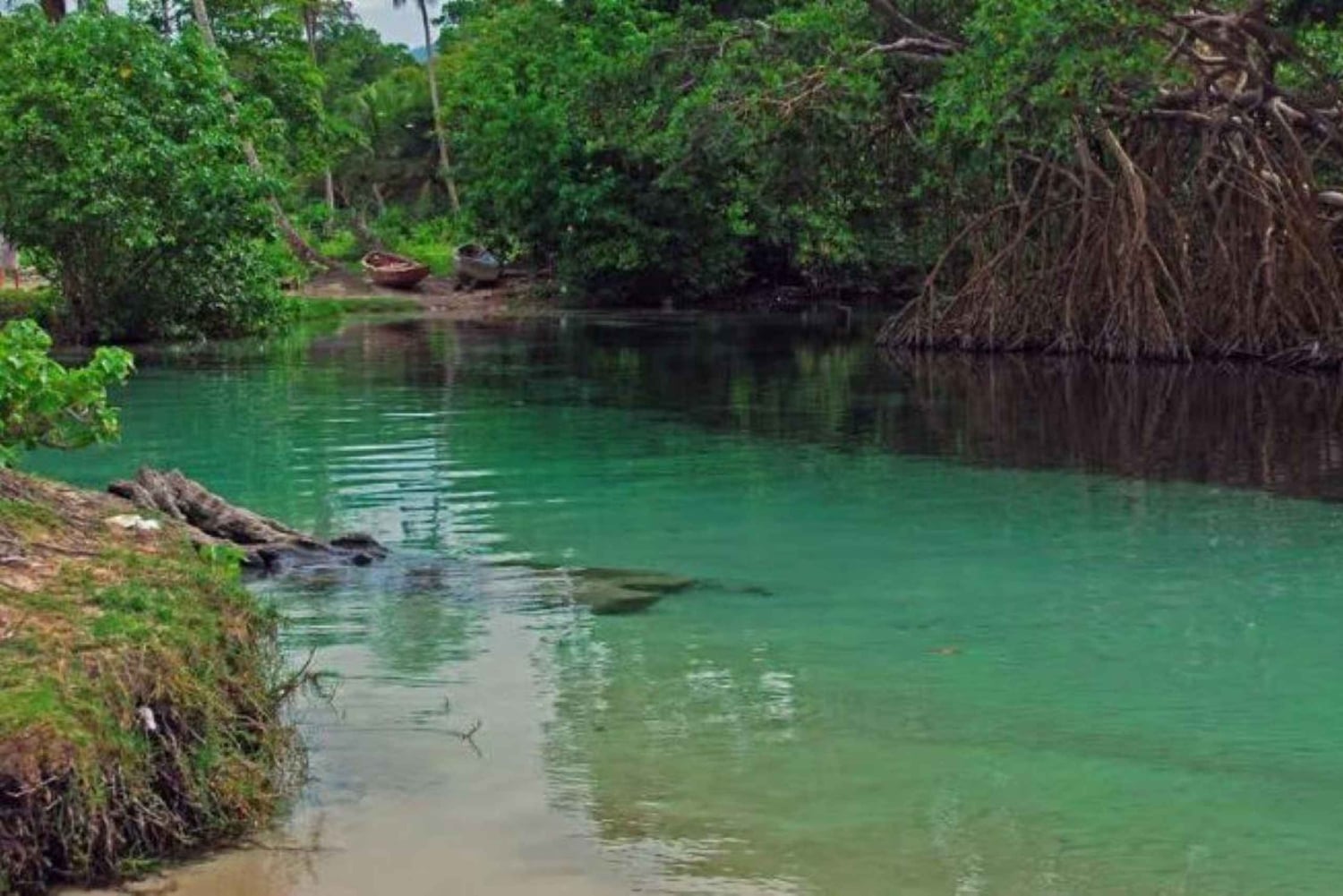 Samaná: Playa Rincón safaritur med frokost og drikkevarer