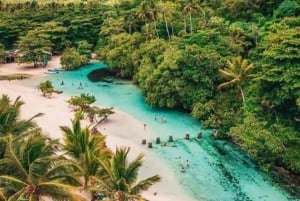 Samaná: Playa Rincón safaritur med frokost og drikkevarer