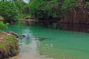 Samaná: Playa Rincón safaritur med frokost og drikkevarer