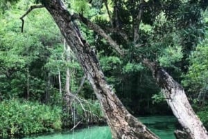 Samaná: Playa Rincón safaritur med frokost og drikkevarer