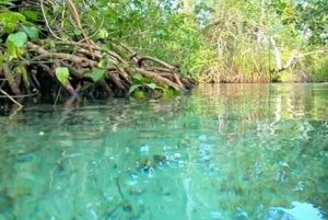 Samaná: Playa Rincón safaritur med frokost og drikkevarer