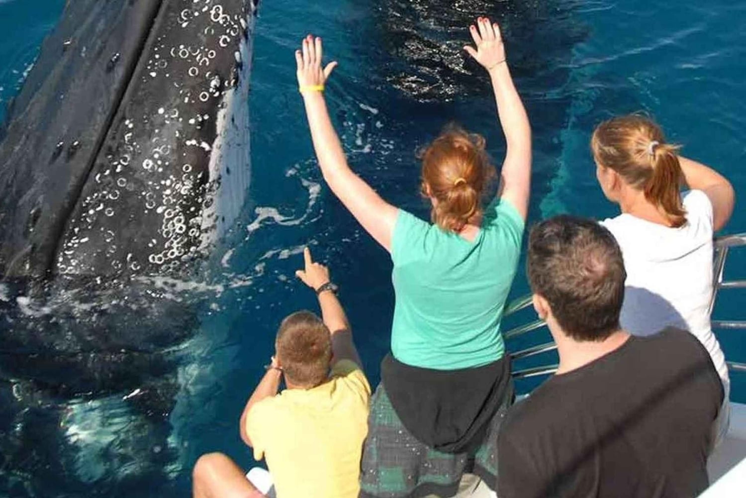 サマナ：貸切カタマランで楽しむホエールウォッチングツアー（ドリンク付き）